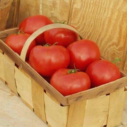Seminte tomate Red Bounty F1 (250 seminte)