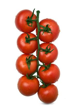 Seminte tomate Donnatino F1 250 sem