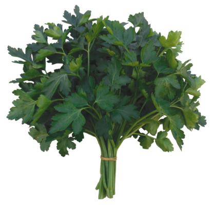 Seminte patrunjel de frunze Caput Gigante De Italia 250 gr