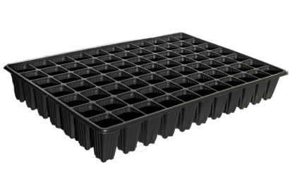 Alveole rasad 77 celule