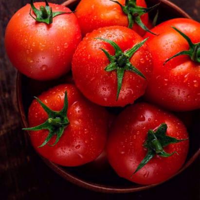 Seminte tomate Optima F1 (100 seminte)