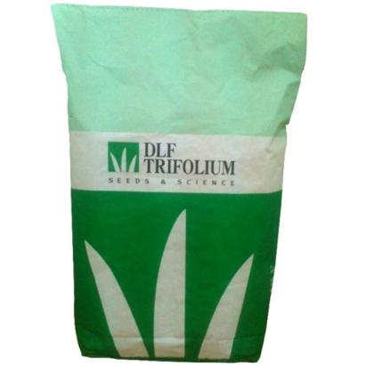 Seminte plante furajere trifoi alb Rivendel, Apolo DLF 25 kg