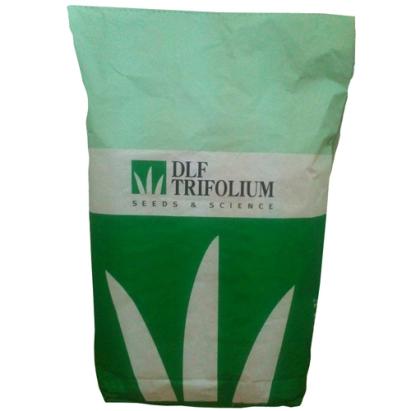 Seminte plante furajere Firuta Yvete, Miracle DLF 25 kg