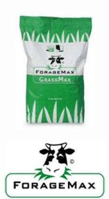 Seminte plante furajere Grass Max Original Foragemax DLF 10 kg