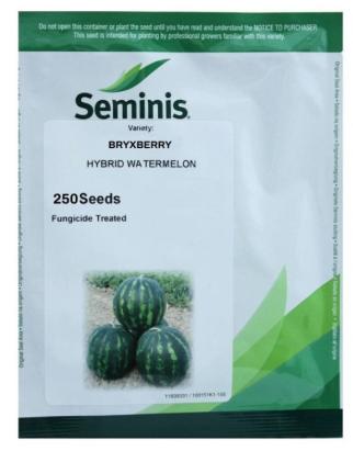 Seminte pepene verde Bryxberry F1 (250 seminte)