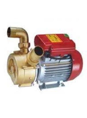 Pompa transfer vin BEM 50