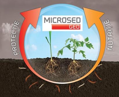 Insecticid de sol microgranulat cu efect de starter, Microsed Geo,  10 KG