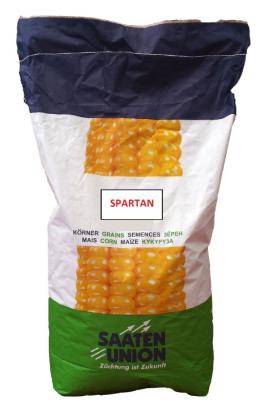 Samanta Porumb Spartan Saaten Union FAO 320 Sac 50.000 boabe