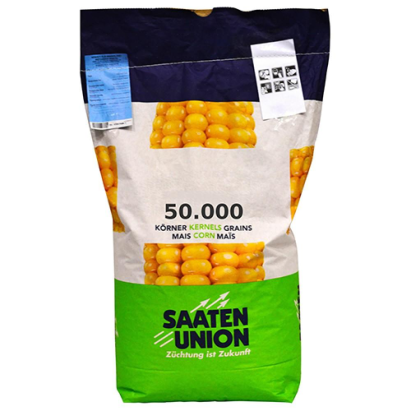 Samanta Porumb Badiane Saaten Union FAO 360 Sac 50.000 boabe