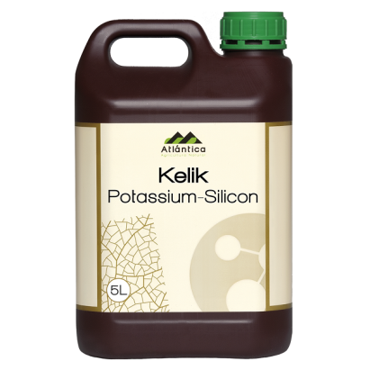 Ingrasamant Kelik Potasiu-Siliciu 1 L