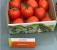Seminte tomate prunisoara Sargento F1 (250 seminte)