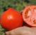 Seminte tomate determinate REDIANA F1 (1000 seminte)