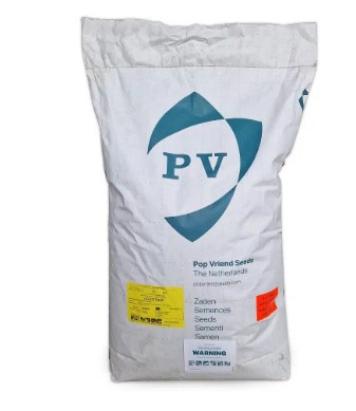Seminte fasole fideluta galbena Goldstrike PV 25 KG