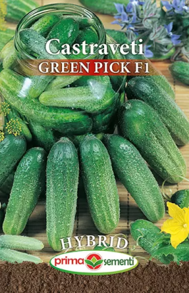 Seminte castraveti Green Pick 5 gr