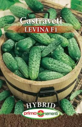Seminte castraveti Levina F1 5 gr