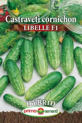Seminte castraveti Libelle F1 1 gr