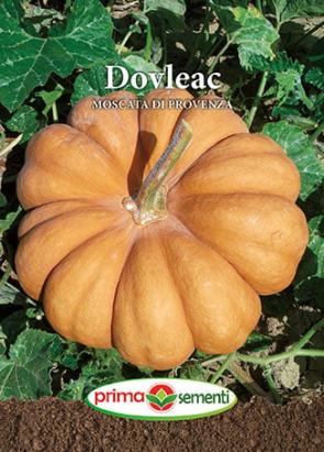 Seminte dovleac de copt Moscata Di  Provenza 2 gr