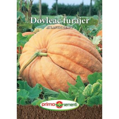 Seminte dovleac furajer Atlantic Giant 15 gr