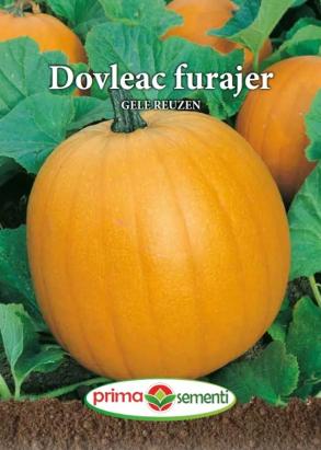 Seminte dovleac furajer Gele Reuzen 2 gr