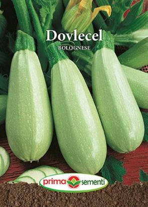 Seminte dovlecei Bolognese 4 gr