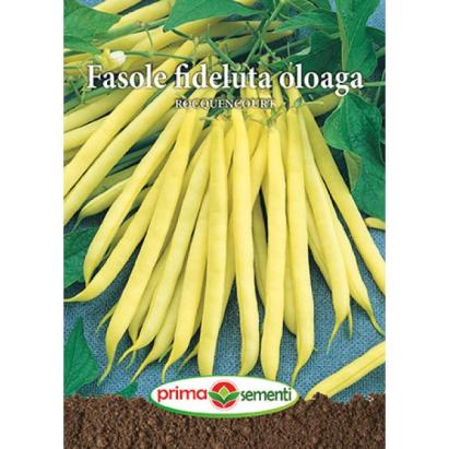 Seminte fasole fideluta Rocquencourt 15 gr