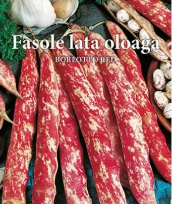 Seminte fasole lata oloaga Borlotto Red 15 gr