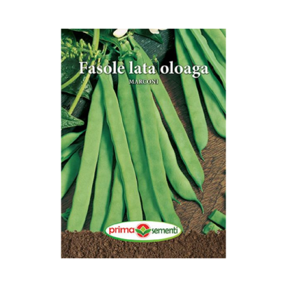 Seminte fasole lata oloaga Marconi 100 gr