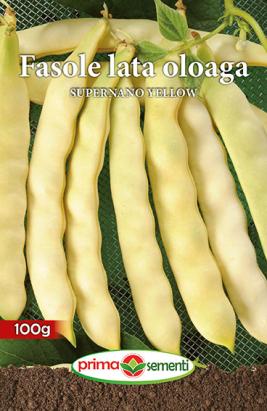 Seminte fasole lata oloaga Supernano Yellow 100 gr