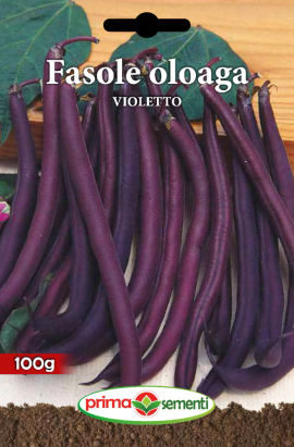 Seminte fasole oloaga Violetto 100 gr