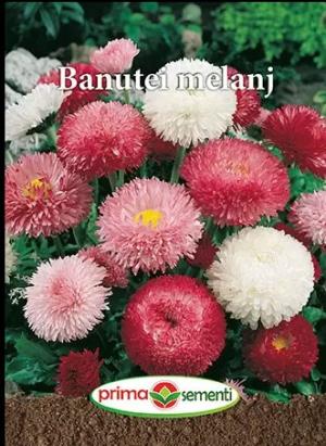 Seminte flori banutei