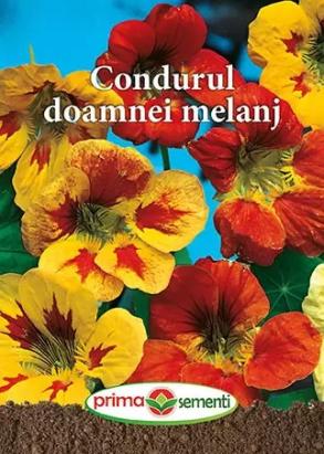 Seminte flori condurul doamnei