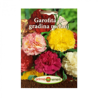 Seminte flori garafita de gradina melanj