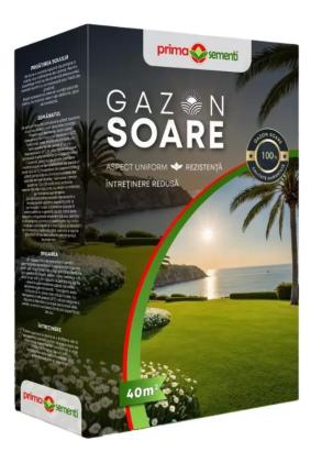 Seminte gazon soare 1 kg