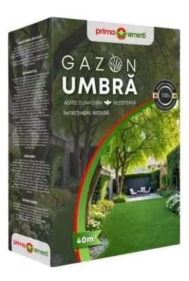 Seminte gazon umbra 1 kg