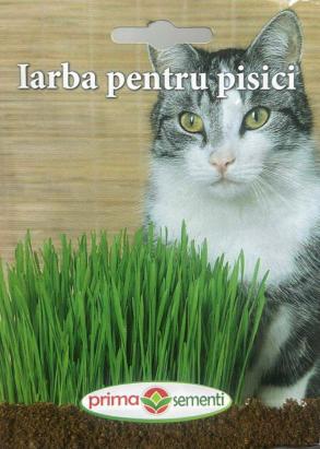 Seminte iarba pentru pisici 5 gr