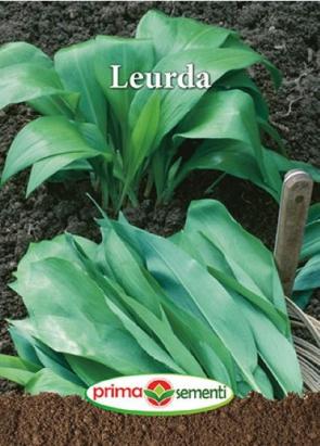 Seminte leurda 1 gr