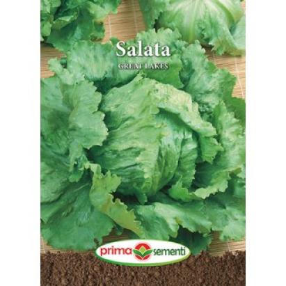 Seminte salata Great Lakes 3 gr
