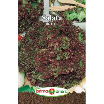 Seminte salata Lollo Red 3 gr