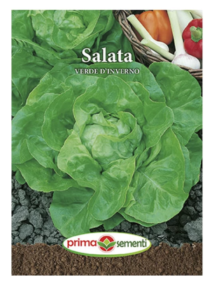 Seminte salata Verde D'Inverno 3 gr
