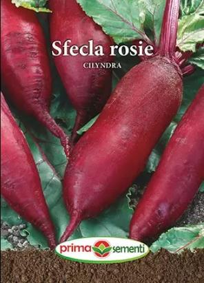 Seminte sfecla rosie Cylindra 5 gr