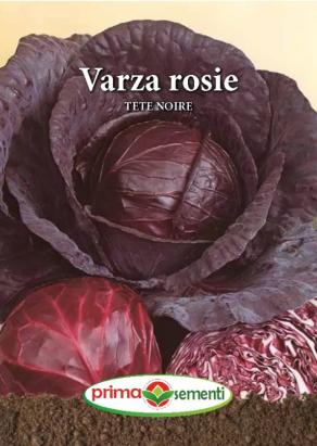 Seminte varza rosie Tete Noire 5 gr