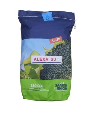 Seminte Floarea Soarelui ALEXA SU Saaten Union (150.000 seminte)