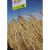 ​Samanta Orz de Toamna 6R Su Ellen C1– Saaten Union (sac 500 kg)