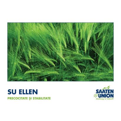 ​Samanta Orz de Toamna 6R Su Ellen C1– Saaten Union (sac 500 kg)