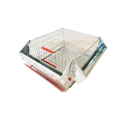 Cusca Prepelita, 45x50x25 cm, 25 capete