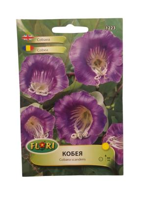 Seminte flori Cobea - albastra/ Cobaea scandens (5 seminte)