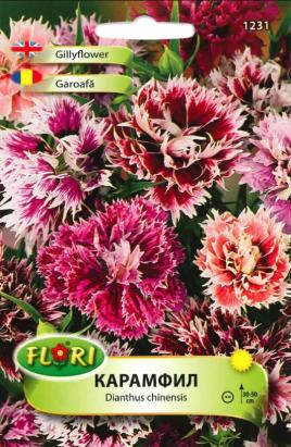 Seminte flori Garoafa/ Dianthus chinensis Imperialis mix 0,7 gr