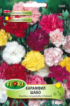 Seminte flori Garoafa Chabaud/ Dianthus caryophyllus Chabaud 0,2 gr