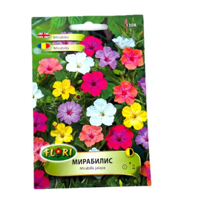 Seminte flori Frumoasa noptii/ Mirabilis jalapa mixed 2,5 gr