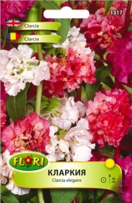 Seminte flori Clarkia/ Clarkia elegans mix 1,2 gr